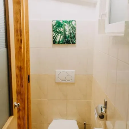 Apartment Rex Center + Free P *
